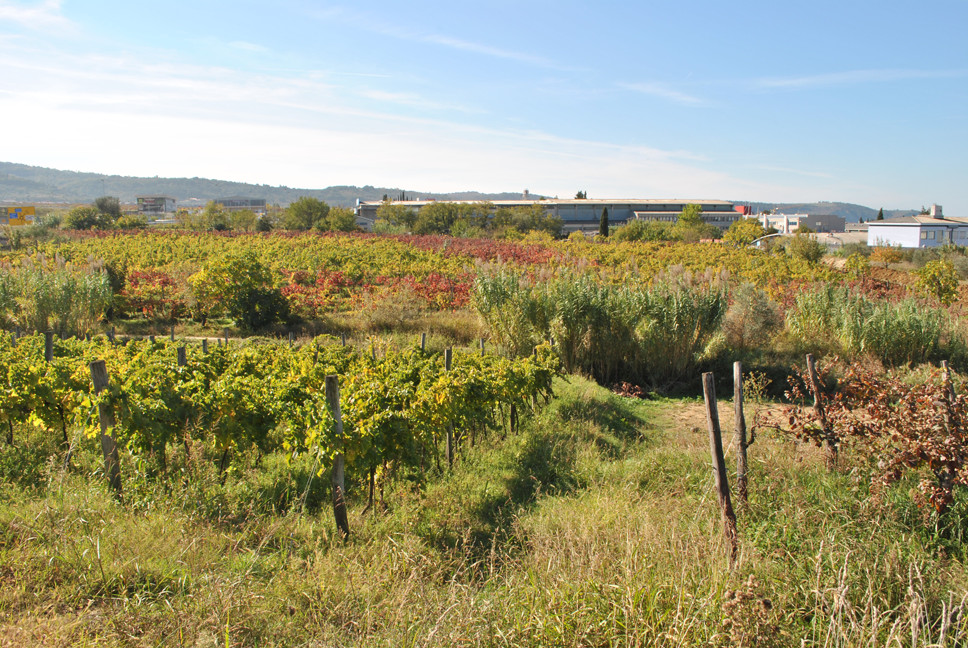 Zahtevnejši del območja raziskave