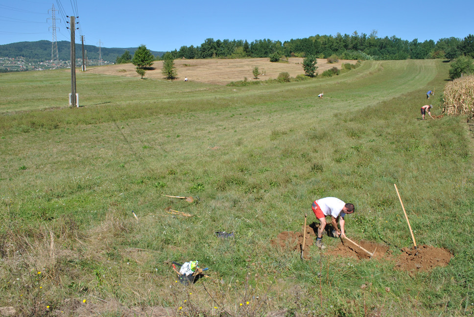 Del linij arheološkega pregleda med Črnomljem in Ručetno vasjo_2012